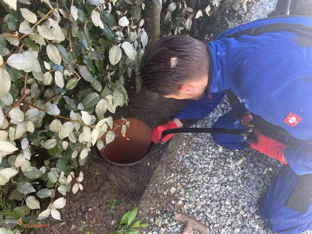 Rioolvliegjes Spijkenisse Rioolvliegjes Spijkenisse